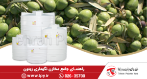 مخزن زیتون؛ بهترین راه و روش نگهداری و ذخیره‌سازی زیتون