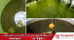 5 روش برای از بین بردن جلبک مخزن آب +راههای پیشگیری