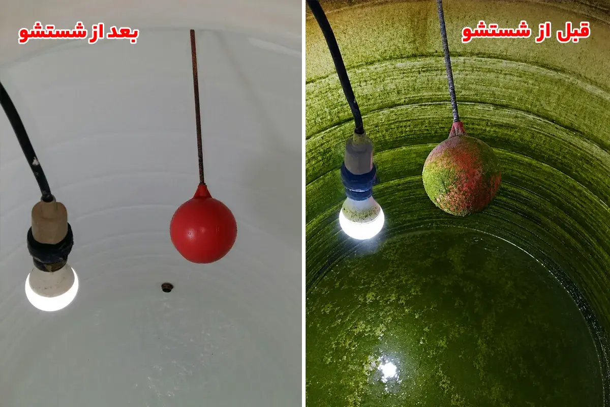 نکات مهم برای جلوگیری از برگشت جلبک