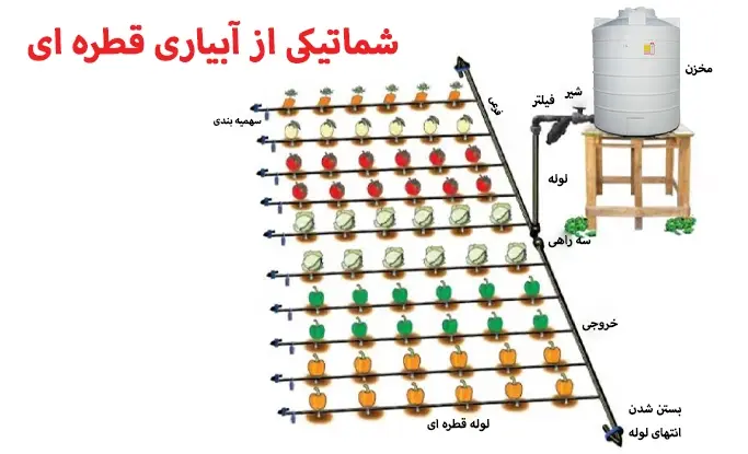 آبیاری قطره‌ای در کشاورزی