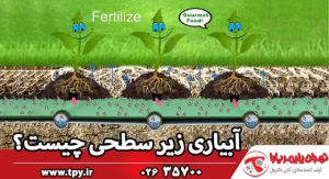 آبیاری زیر سطحی چیست و چگونه انجام می‌شود؟ (+ مزایا و معایب)