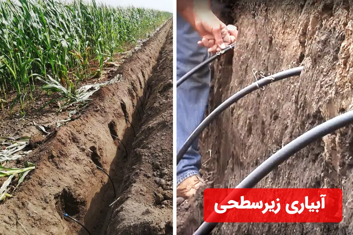 روشهای آبیاری زیرسطحی
