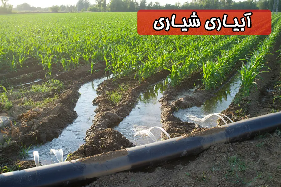 آبیاری شیاری