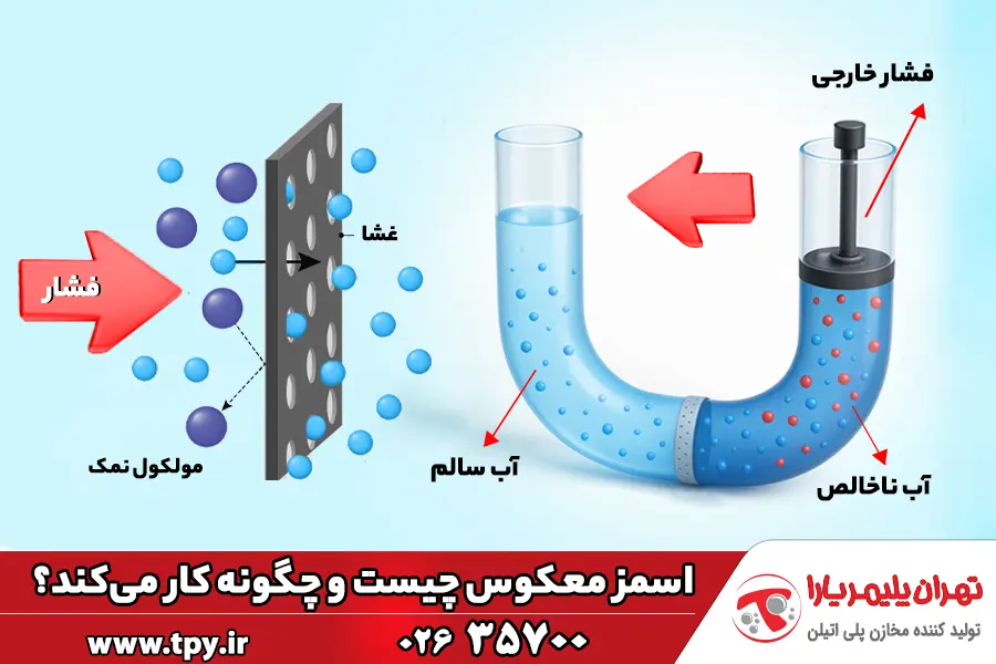 اسمز معکوس چیست