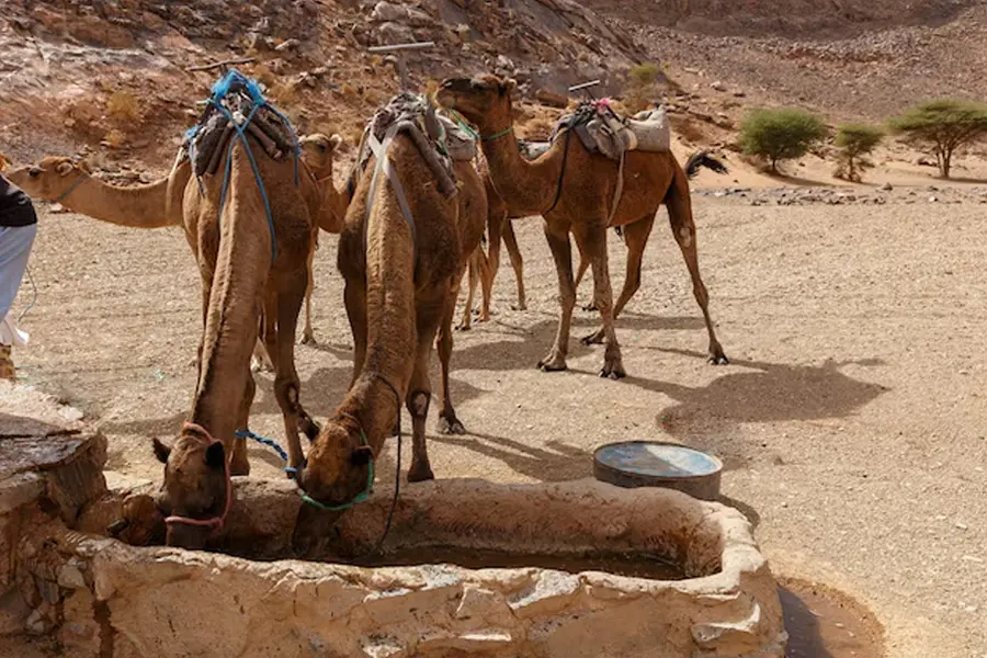 ذخیره آب در مناطق خشک
