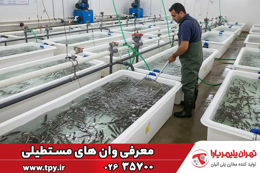 وان مستطیلی