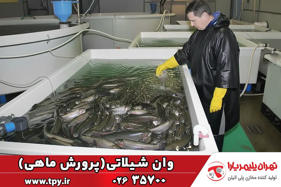 قیمت و خرید وان شیلاتی (وان پلاستیکی پرورش ماهی ارزان) وان شیلاتی